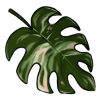 Ginormous leaf