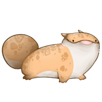 Leucistic Yohu