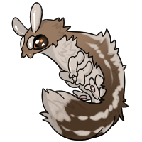 Cappuccino Gekkora