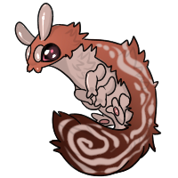 Chai Spice Gekkora
