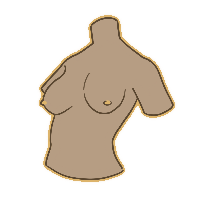 Mammalian features
