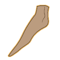 Pointe feet